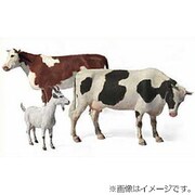 3566 家畜セットー牛2、山羊1頭 1/35 プラモデル [2018年5月再生産]