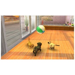 ヨドバシ Com 任天堂 Nintendo Nintendogs ニンテンドッグス Cats トイ プードル Newフレンズ 3dsソフト 通販 全品無料配達