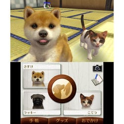 ヨドバシ.com - 任天堂 Nintendo cats フレンチ・ブル＆NEWフレンズ [3DSソフト] 通販【全品無料配達】