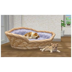 ヨドバシ.com - 任天堂 Nintendo nintendogs(ニンテンドッグス