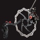 DASH CARBON REAR HS BLACK BR-TRP-024
