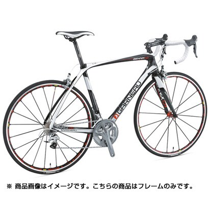 11L-495 GENNIX R1 FRAME KIT490MM WHITE/C