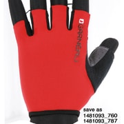 11LAS-60402 [JR RIDE JRS 760 GINGER]