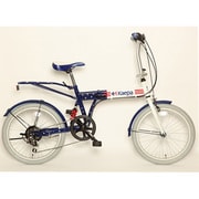 kaepa20インチ  セイジョウキカラー
