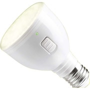 LEDライト 電球色 E26口金 全光束168lm マジックバルブ MB2.5W-A