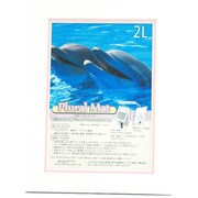 プルーラルマット 2L ホワイトS+ピンク