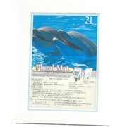 プルーラルマット 2L ホワイトS+ブルー