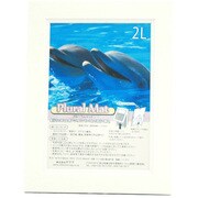 フォトフレーム プルーラルマット 2L クリーム＋クリーム