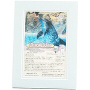 プルーラルマットP ブルー+ブルー