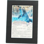 プルーラルマットP ブラック+Sブラック