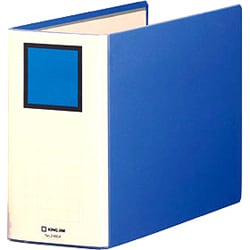 2480Aアオ キングファイル A4E