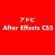 After Effects CS5 ESD [ライセンス 旧バージョンの電子ソフトウェアダウンロード（ESD）]