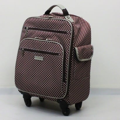 ドットキャリー 旅行日数目安：1～2泊 23L 機内持ち込み可 ブラウン 15200-008
