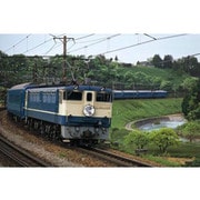 ジグソー 59-004 寝台特急はやぶさ　1000ピース [ジグソーパズル]