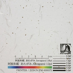 コピーができる和紙 No.51 白花 金砂 8425511