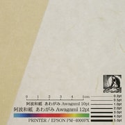 コピーができる和紙 No.66 羽二重 アイボリー 8425661