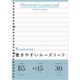 L1209 B5 書きやすいルーズリーフ 英習字罫 15段 26穴