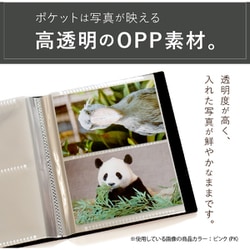 デジタルフォト　2009年　2010年　2011年　11冊まとめて デジタルフォト 2009年 2010年 2011年 11冊まとめて デジタル