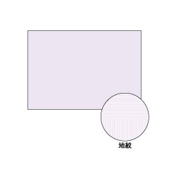 ヒサゴ HISAGOBP2111Z [コピー判別A3大入り]