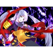 戦極姫 戦乱に舞う乙女達 システムソフトセレクション [PS2ソフト]