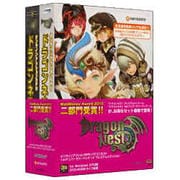 ドラゴンネスト 1stアニバーサリーパッケージプレミアムエディション