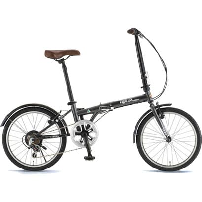 自転車（20型） ガンメタル AL-FDB207 R-sus 1396