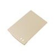 N-06C用 [リアカバー N54 CHAMPAGNE GOLD（シャンパンゴールド）]