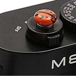 ヨドバシ.com - マッチテクニカル レリーズボタン てんとう虫