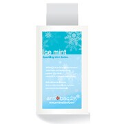antibac2K用ソリューション [アイスミント 120ml]