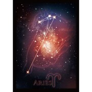 ハイブリッドスリーブ  「アリエス-牡羊座-」