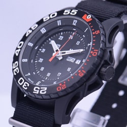 ヨドバシ.com - TRASER トレーサー P6600.41F.1Y.01 [TYPE6 MIL-G Red（タイプ6 MIL-G レッド）日本限定モデル  クオーツ メンズ 正規輸入品] 通販【全品無料配達】