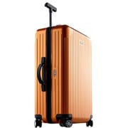 TSA搭載スーツケース SALSA AIR 68cm インカゴールド 並行輸入 82363 INCA GOLD