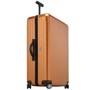 TSA搭載スーツケース SALSA AIR 78cm インカゴールド 並行輸入 82373 INCA GOLD