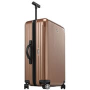 TSA搭載スーツケース SALSA AIR 68cm コニャック 並行輸入 82763 COGNAC