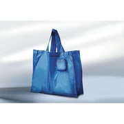 53 [ミニバッグ blue]