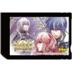 メモリースティックPRO DUO4GB ワンドオブフォーチュン2 [PSP用]