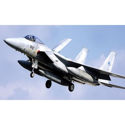 1/72 F-15J イーグル '近代化改修機 形態2型' - サン星