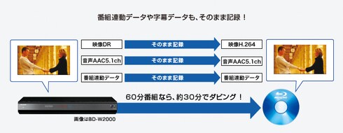 SHARP - ◉整備済み完動品/W500□AQUOSブルーレイレコーダー/スカパーHD搭載。 ヨドバシ.com - シャープ SHARP ブルーレイレコーダー HDD500GB