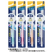 ピュオーラ ハブラシ コンパクト ふつう [歯ブラシ]