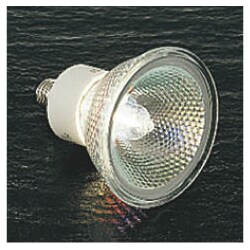 白熱電球 ハロゲンランプ E11口金 110V 100W クリア AEE592273
