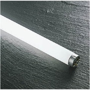 直管蛍光灯 白色 16W AEE692049