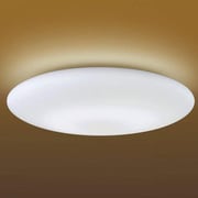 屋内蛍光灯シーリング AHN636312