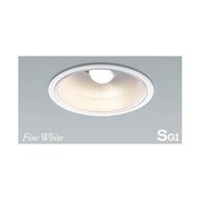 SGI形ダウンライト LED広角 電球色 ADE651102