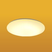 和風シーリングライト 昼光色 4.5~6畳 66W ダイレクトリモコン付(和紙柄入) TXG-6636