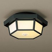 Residenza 軒下用シーリング・パルックボールプレミア 防雨型・FreePaお出迎え・点灯省エネ型・ムシベール 電球色15W オフブラック HWC6078E