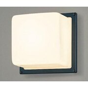 インバーターネオボールZ ブラケット 電球色25W ブラック BFB23020Z