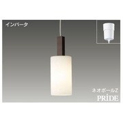 RESIOR インバーターネオボールZ・PRIDE ペンダント・フランジタイプ 電球色15W BFP13156Z
