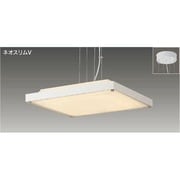 ネオスリムV ペンダントライト 電球色 あとからリモコン(別売) FSY90552SEL