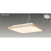 ネオスリムV ペンダントライト 電球色 あとからリモコン(別売) FSY90561SEL