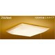 スリムNext 和風照明 電球色75W 和趣 プルスイッチ付 FVH75588EL